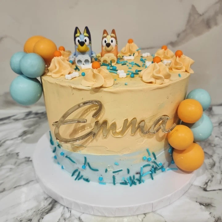 Bluey themed birthday cake party styling package