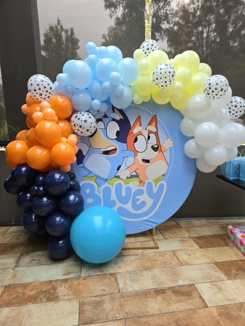 round hoop balloon styling bluey theme colours birthday package
